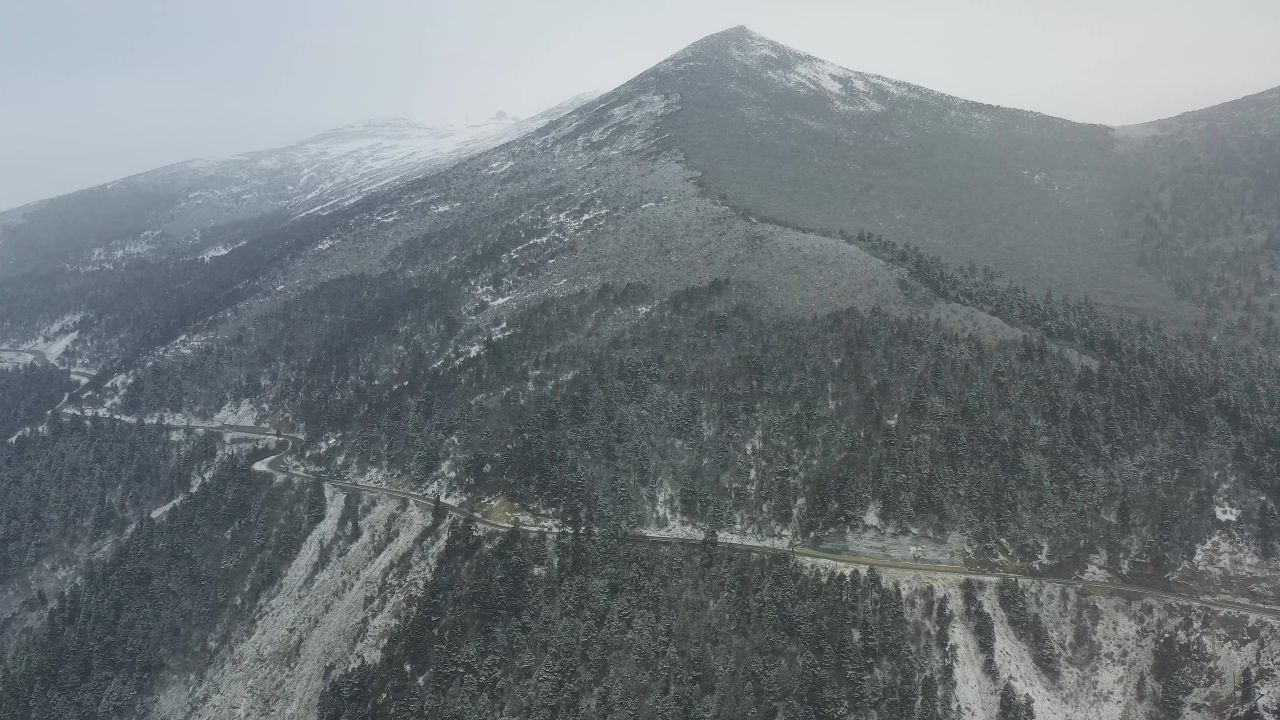 航拍大雪纷飞的鲁朗林海