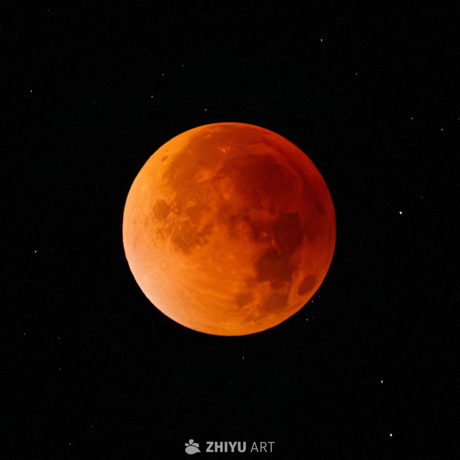 血月映夜空