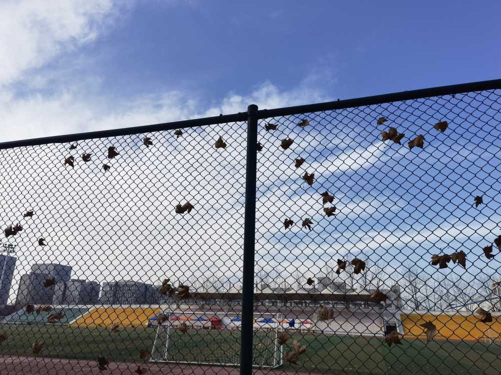 校园操场