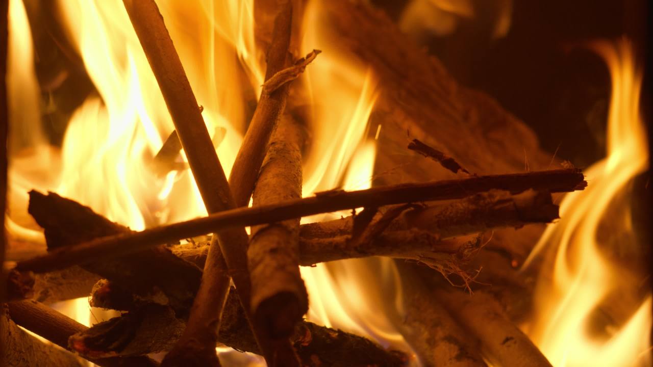 燃烧的木炭柴火篝火 17