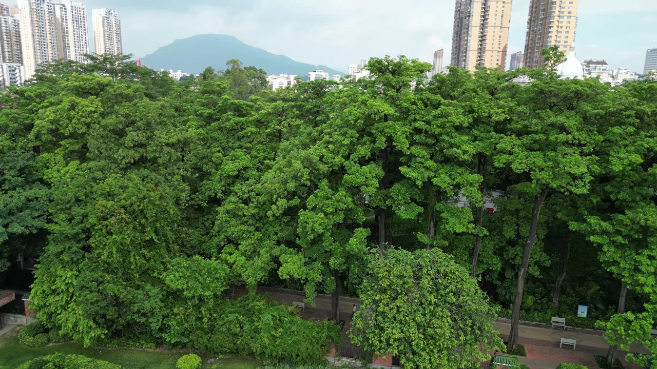 航拍福建漳州古城