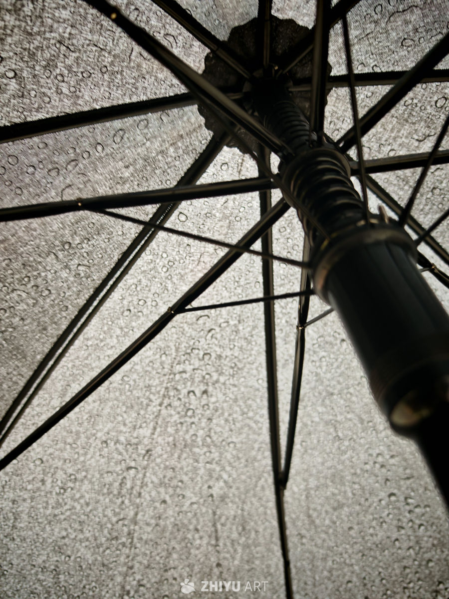 雨