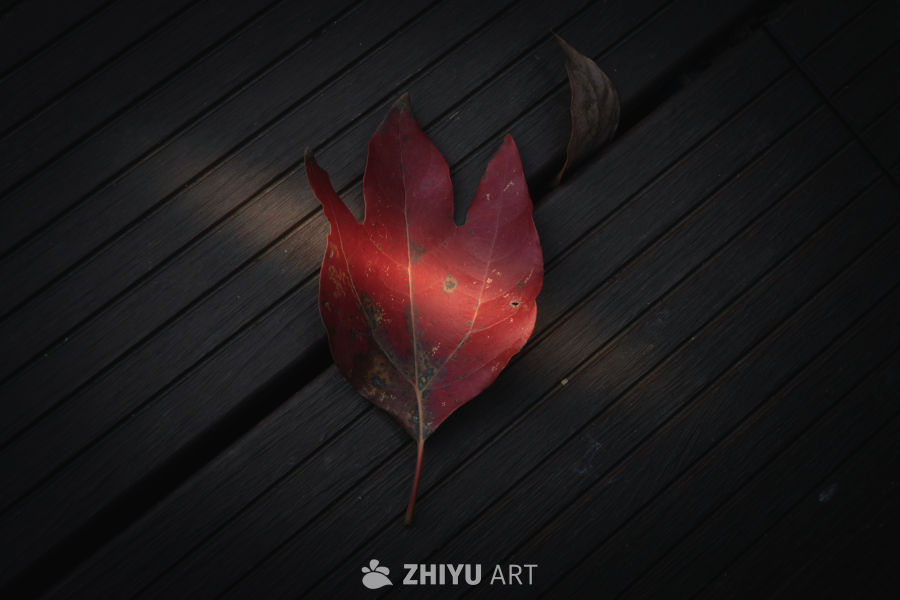 秋日红叶静卧木纹间