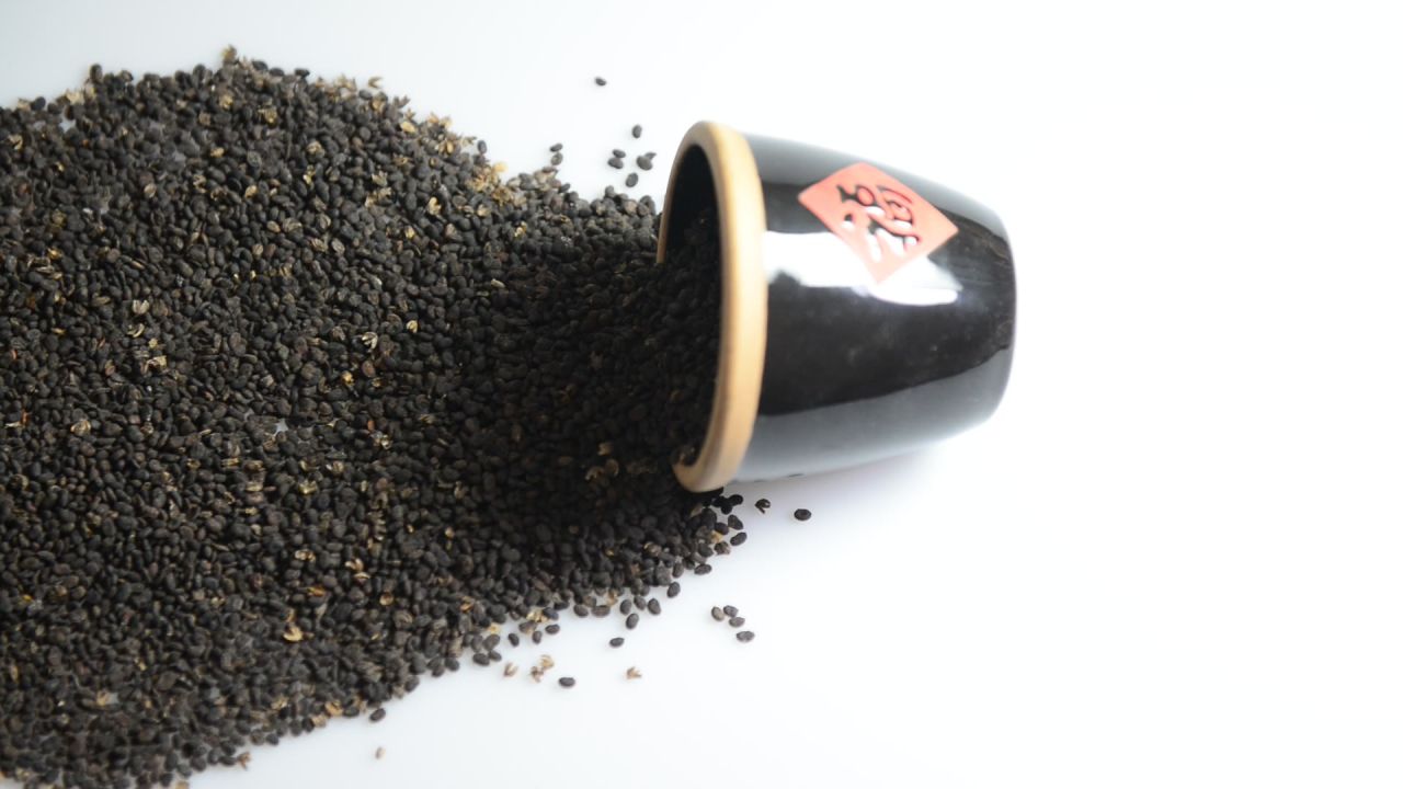 中药材补骨脂 27