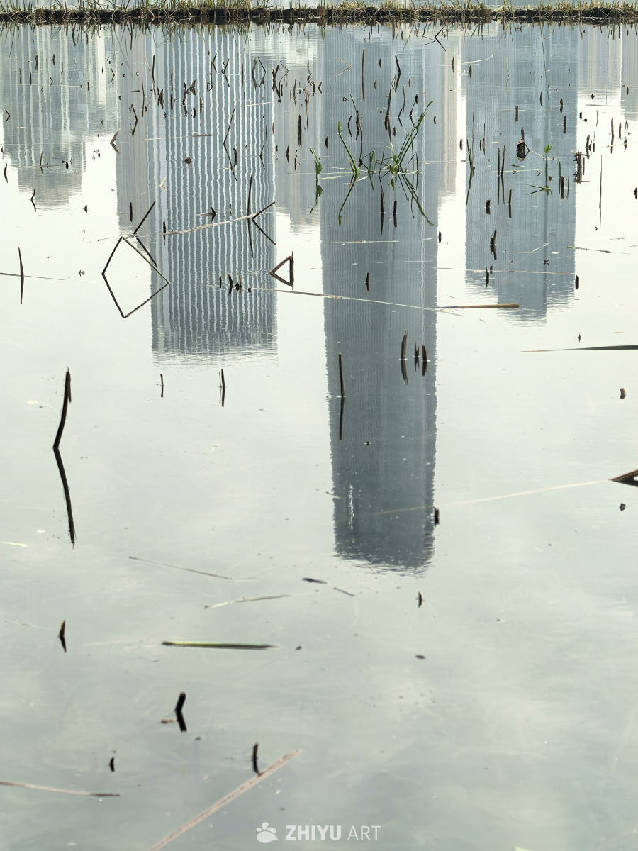 相逢意气为君饮，系马高楼垂柳边