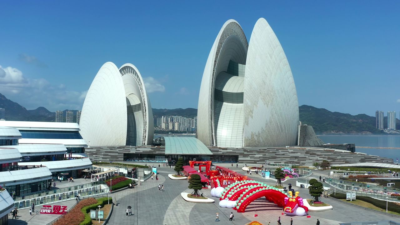 珠海迎春花市 六