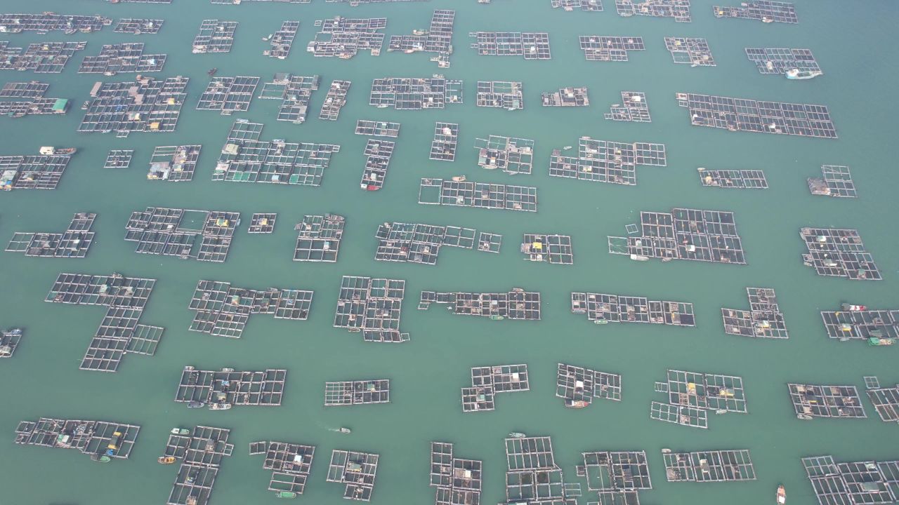 蓝色海洋大海海鲜养殖基地航拍