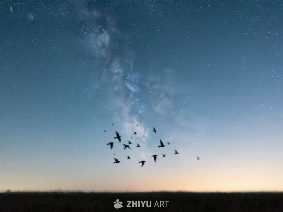 夜空星辰下飞翔的鸟群 408