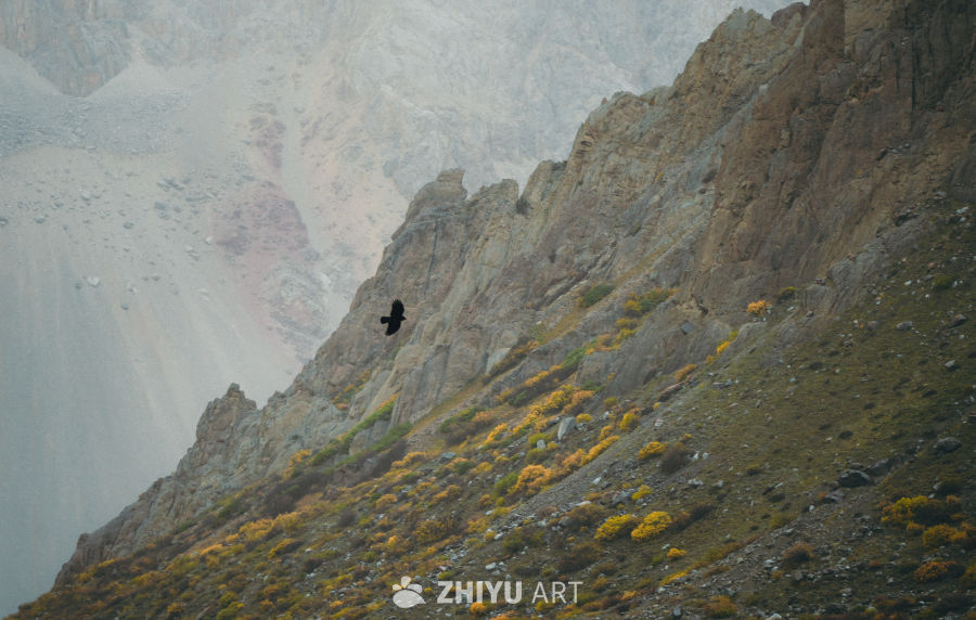 仁龙巴和雅隆冰川