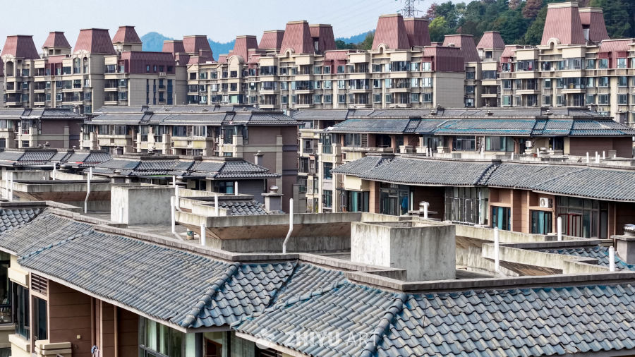 传统与现代交织的屋顶风景