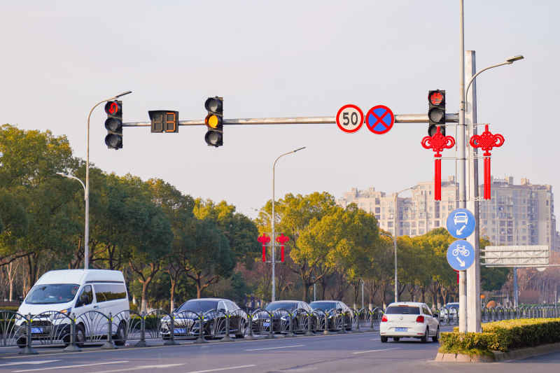 道路上的新春中国结 14