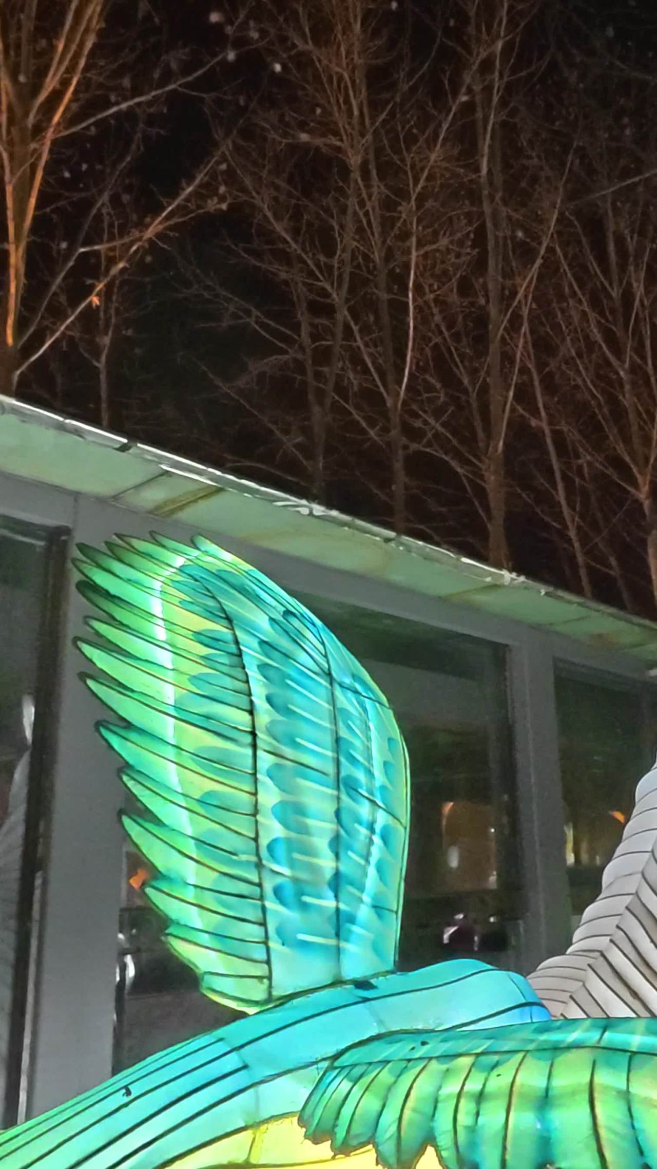 夜色中的光影艺术