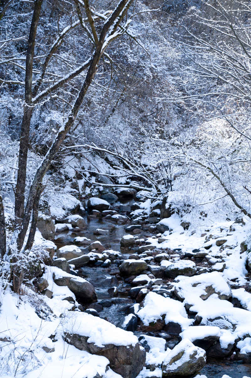 冰雪