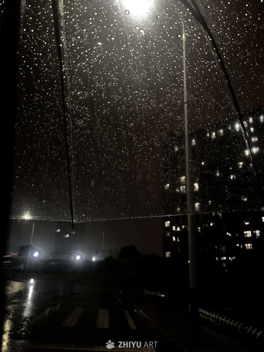 雨夜城市的静谧