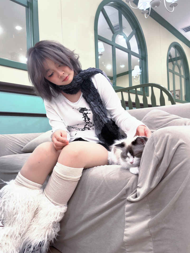 猫咖元气少女