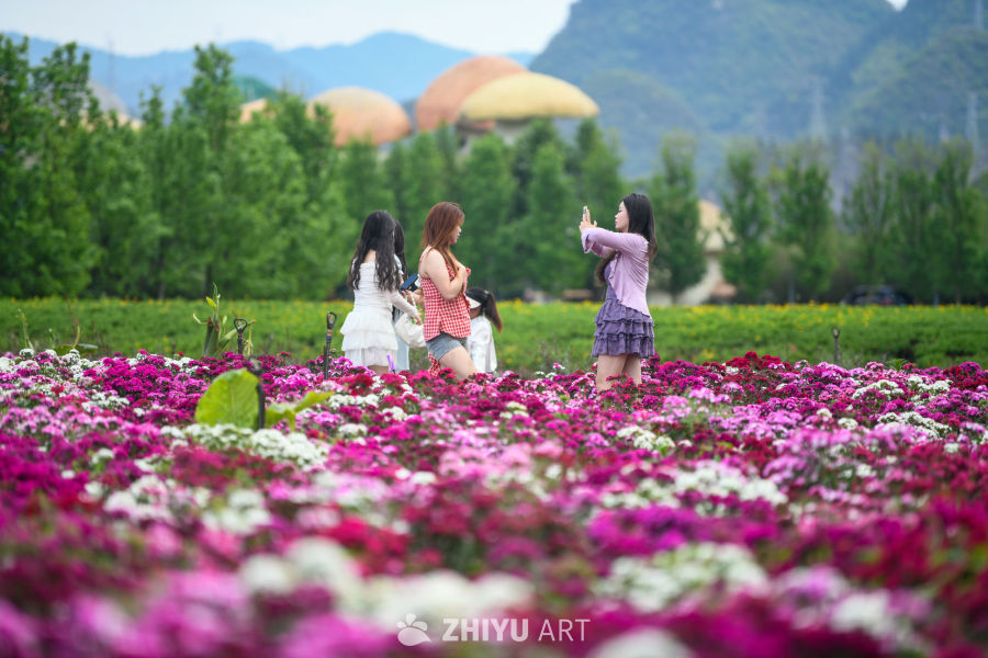 花海 3