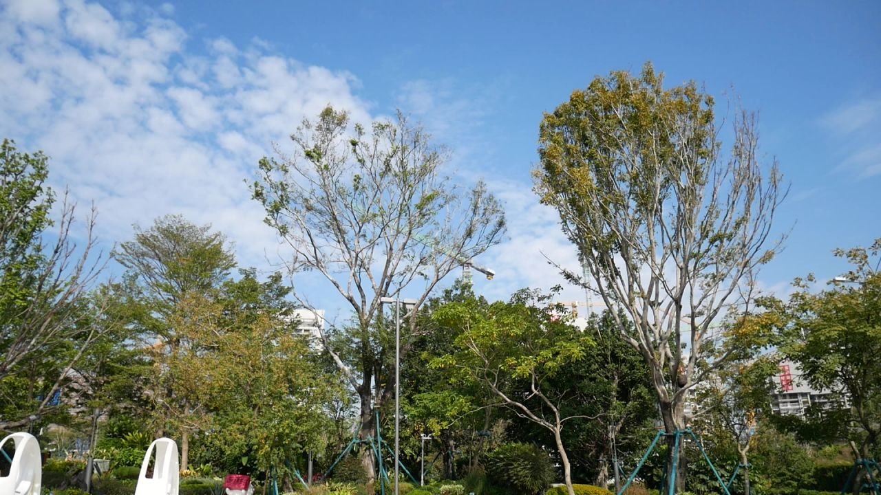 元旦假日的蓝天白云清风