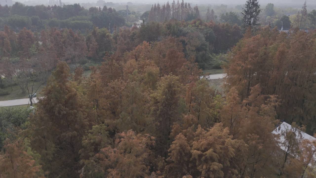冬日的湿地 7