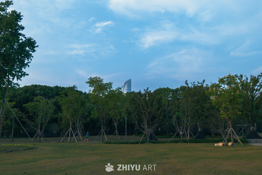 公园晨跑：城市与自然的交融