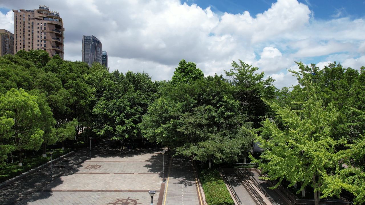 浙江温州瓯江城市高楼建筑蓝天白云航拍