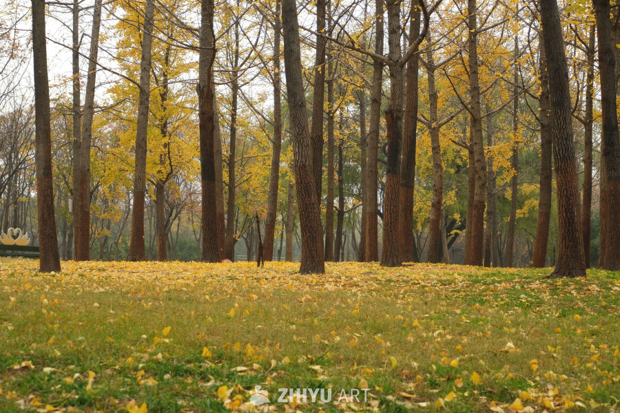 【实拍样片】富士X-S20相机实拍照片原片 2