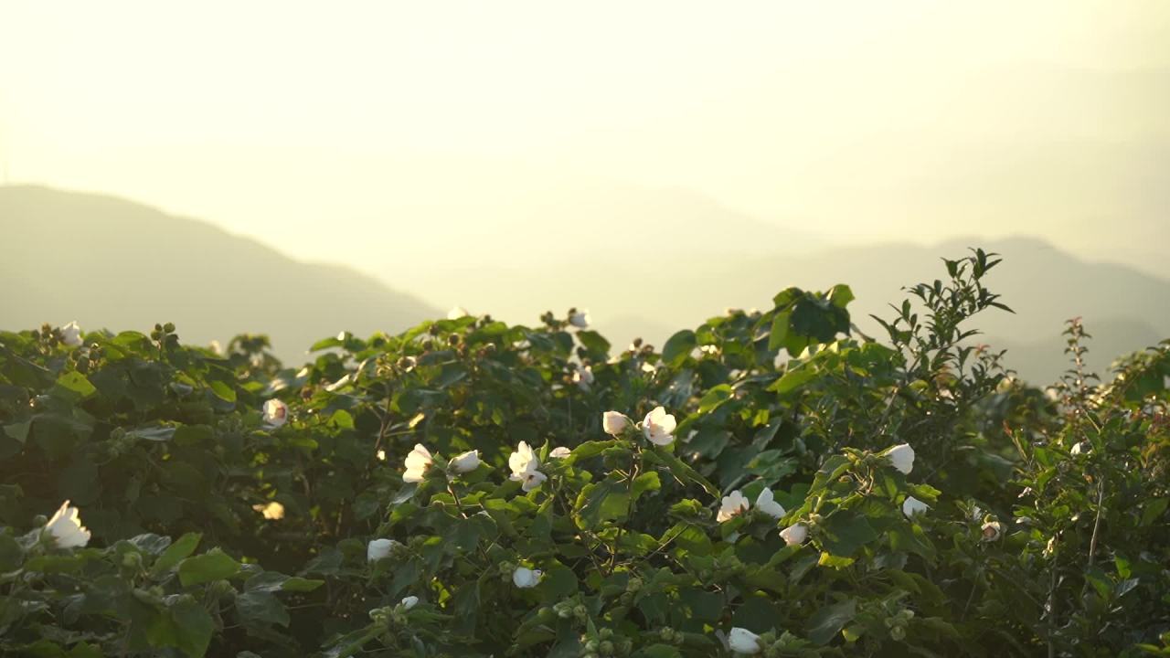 登山 1