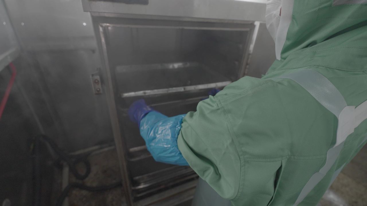 海参加工流水线作业