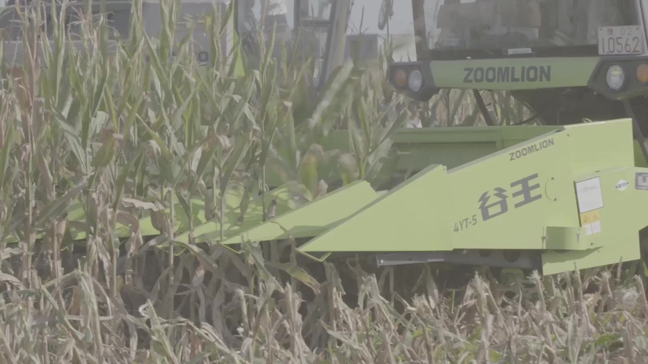 玉米地收割机