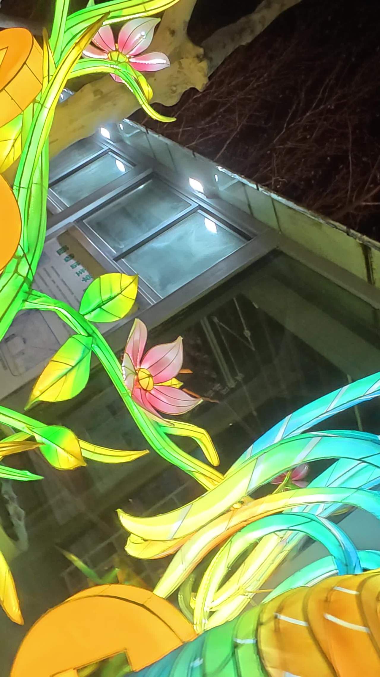 夜色中的花灯