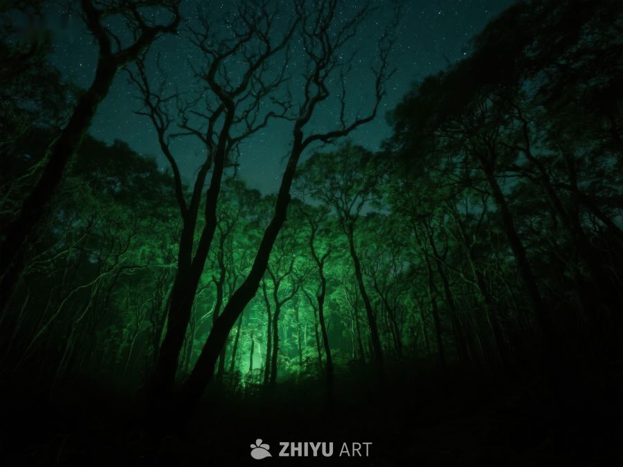 夜幕森林，神秘绿光 467
