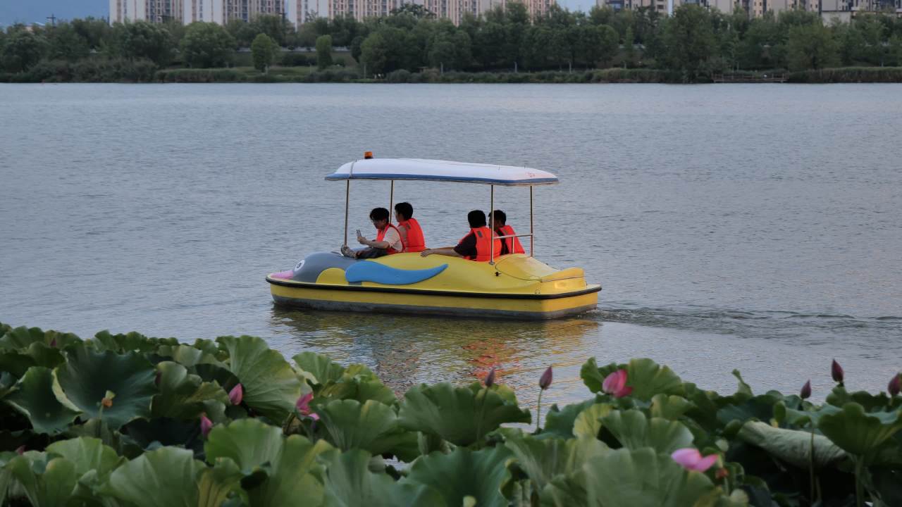 夕阳下的大桥 5