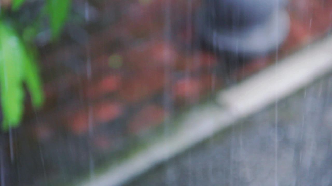 大雨哗哗下