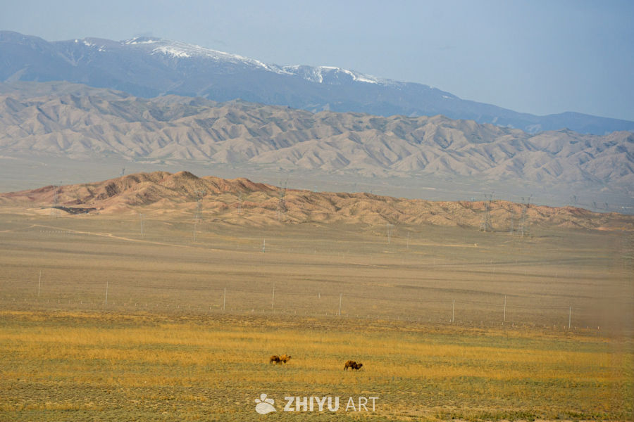 retouch_2025051420585361