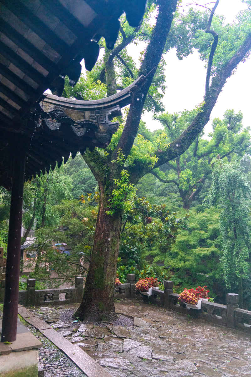 江南水乡 6