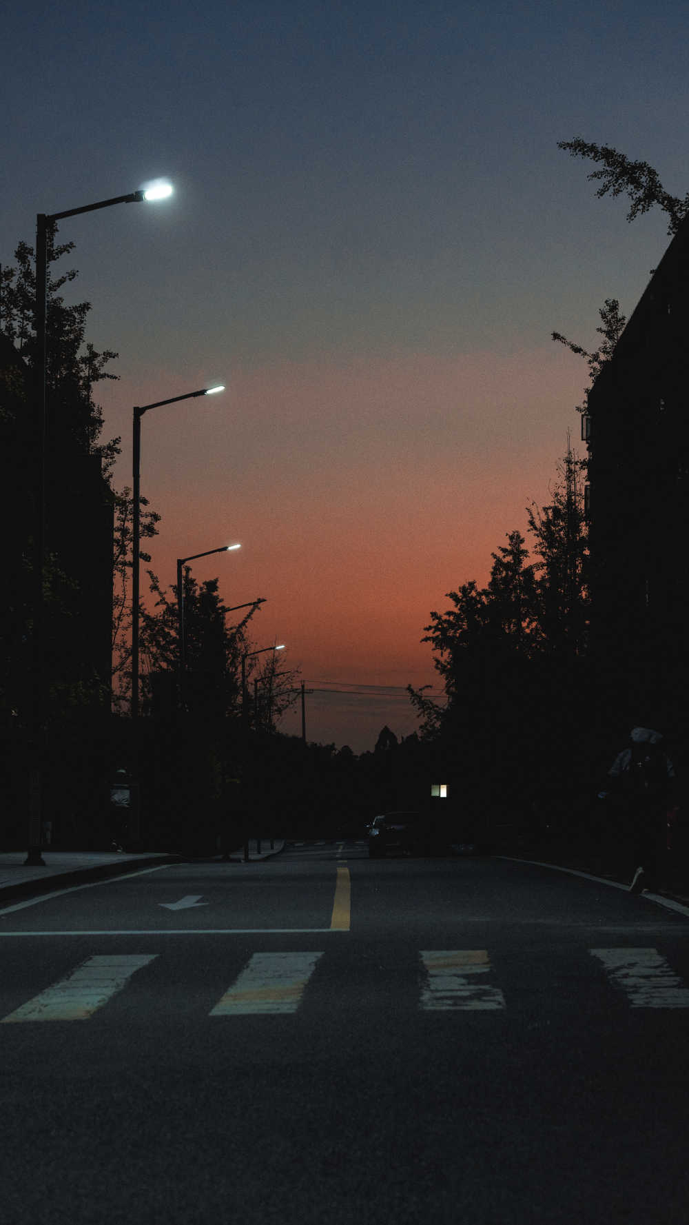 落日玫瑰