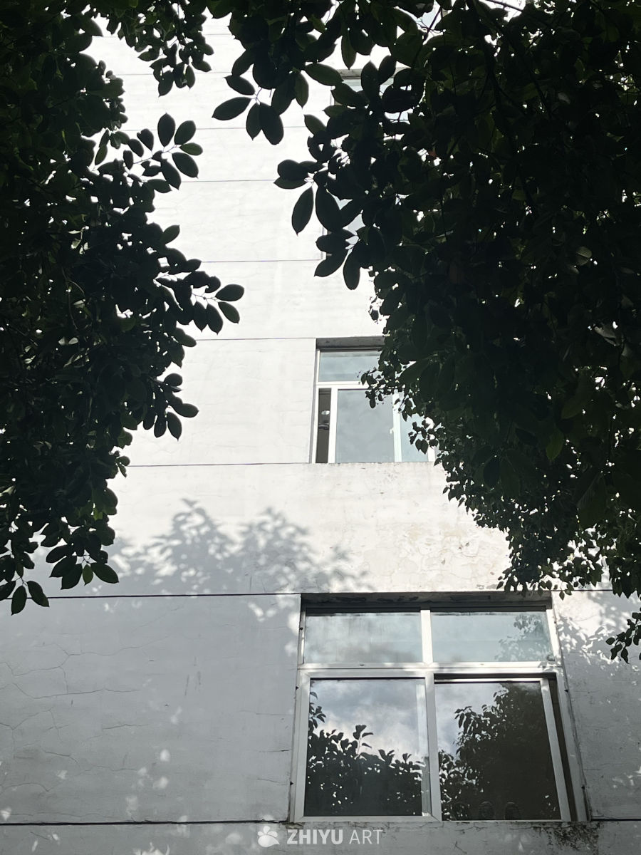 树影下的旧窗