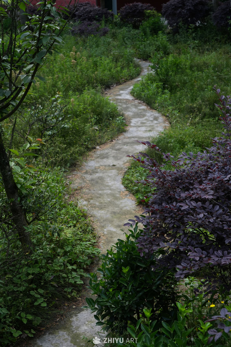 崎岖小路