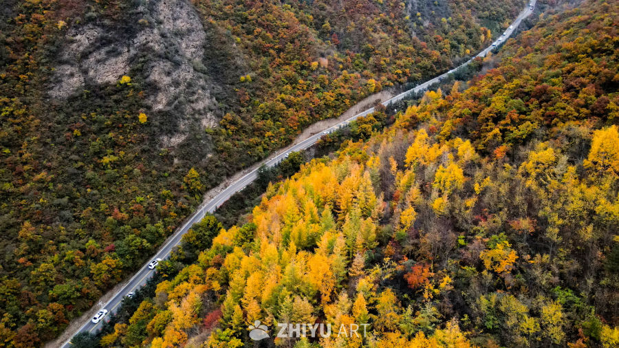 兰州七里河区云顶山秋景 18
