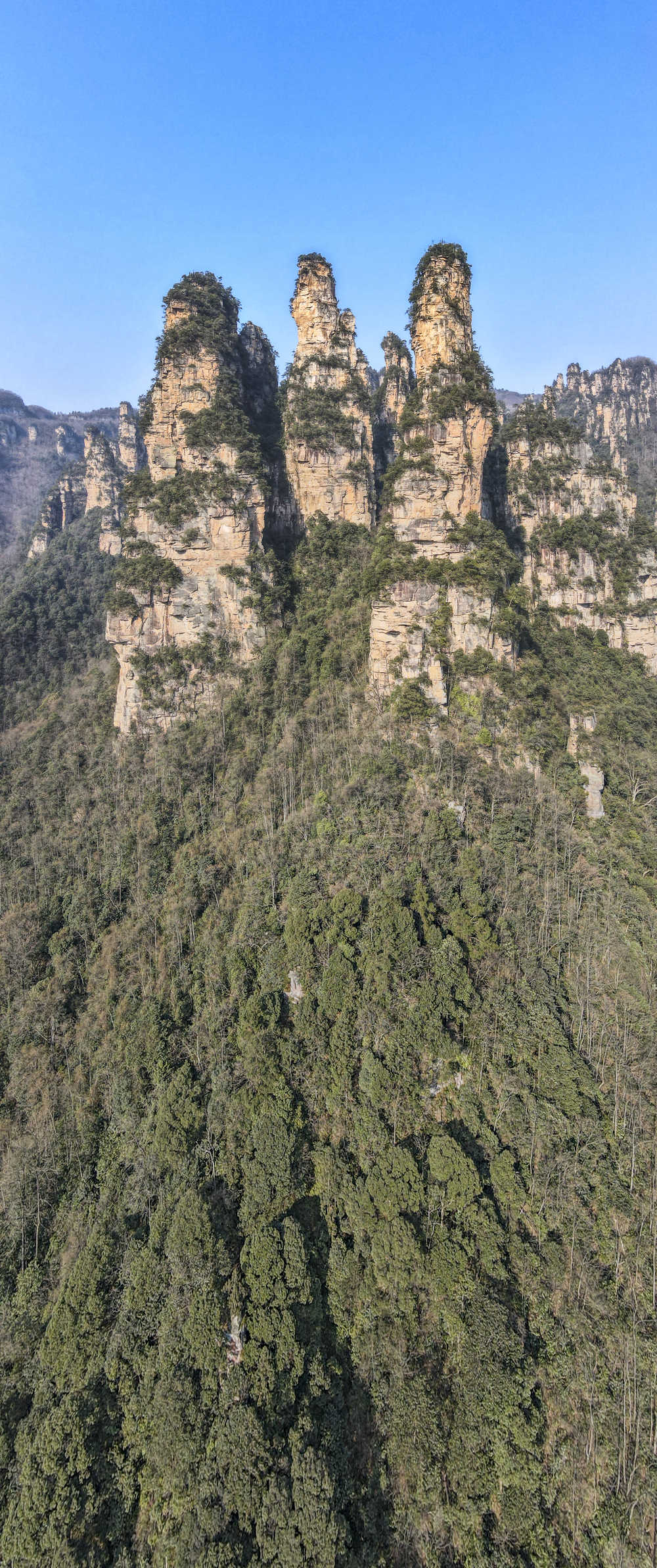 山