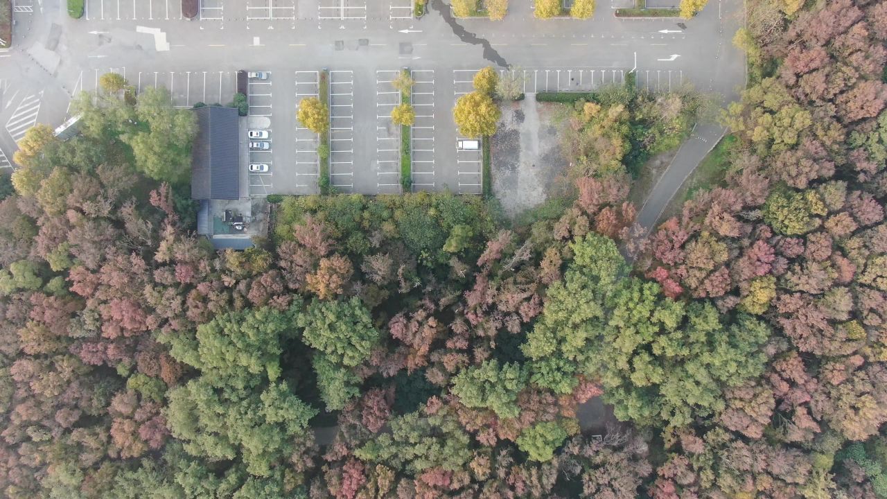 南京钟山秋天航拍