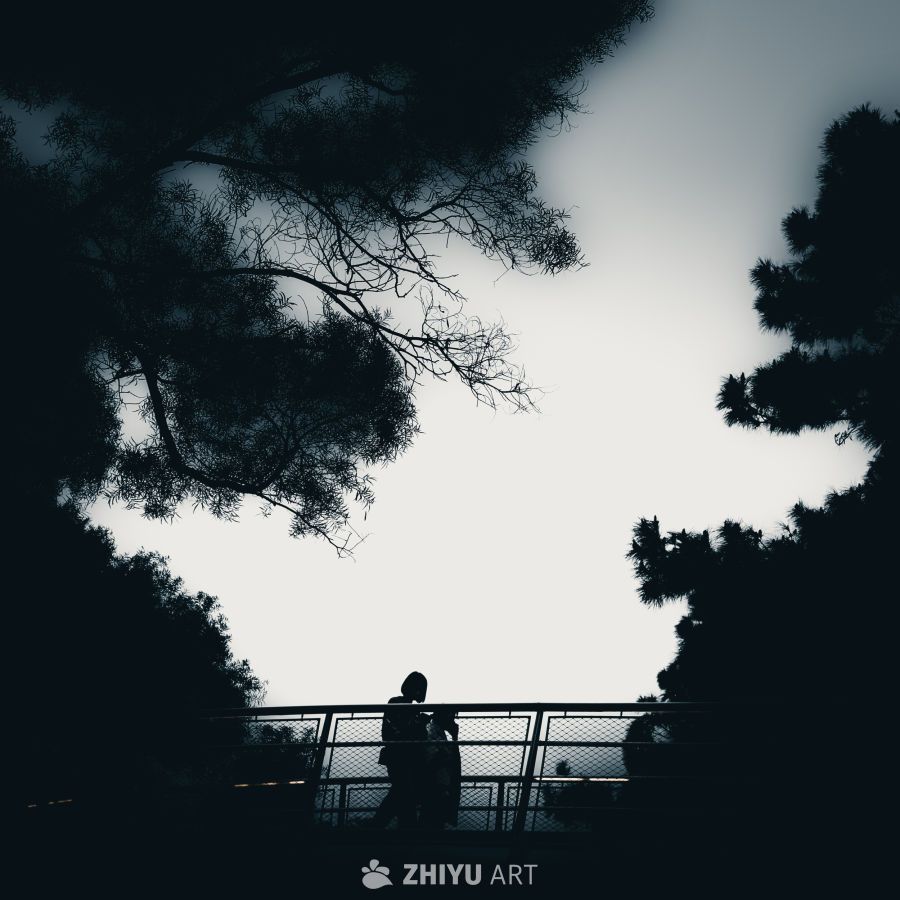暮光同行