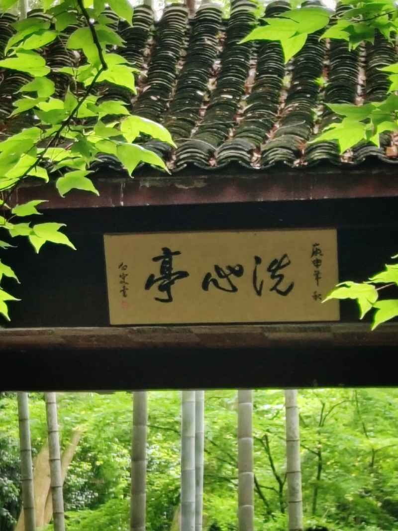 云溪竹径 绿野仙踪 17