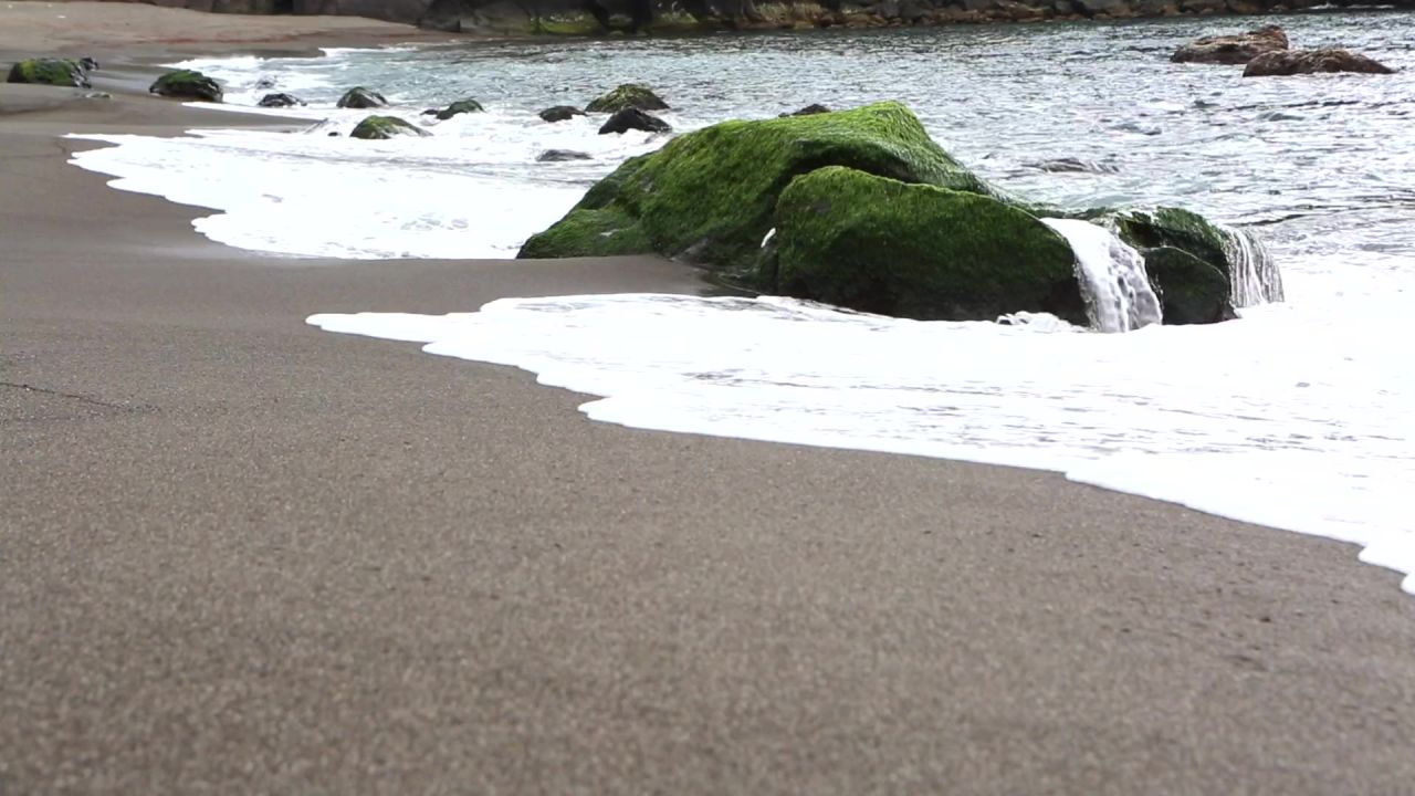 海滩沙波岩自然
