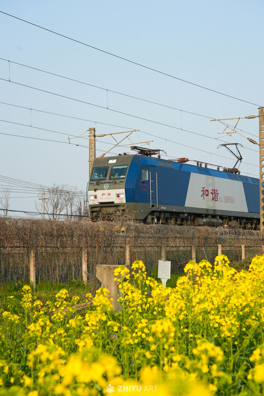 开往春天的列车