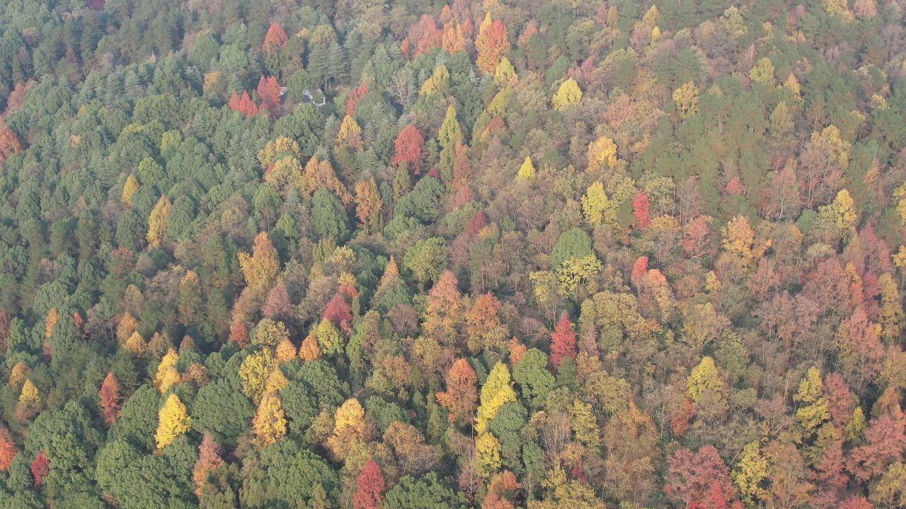 贵州遵义城市风光凤凰山公园航拍