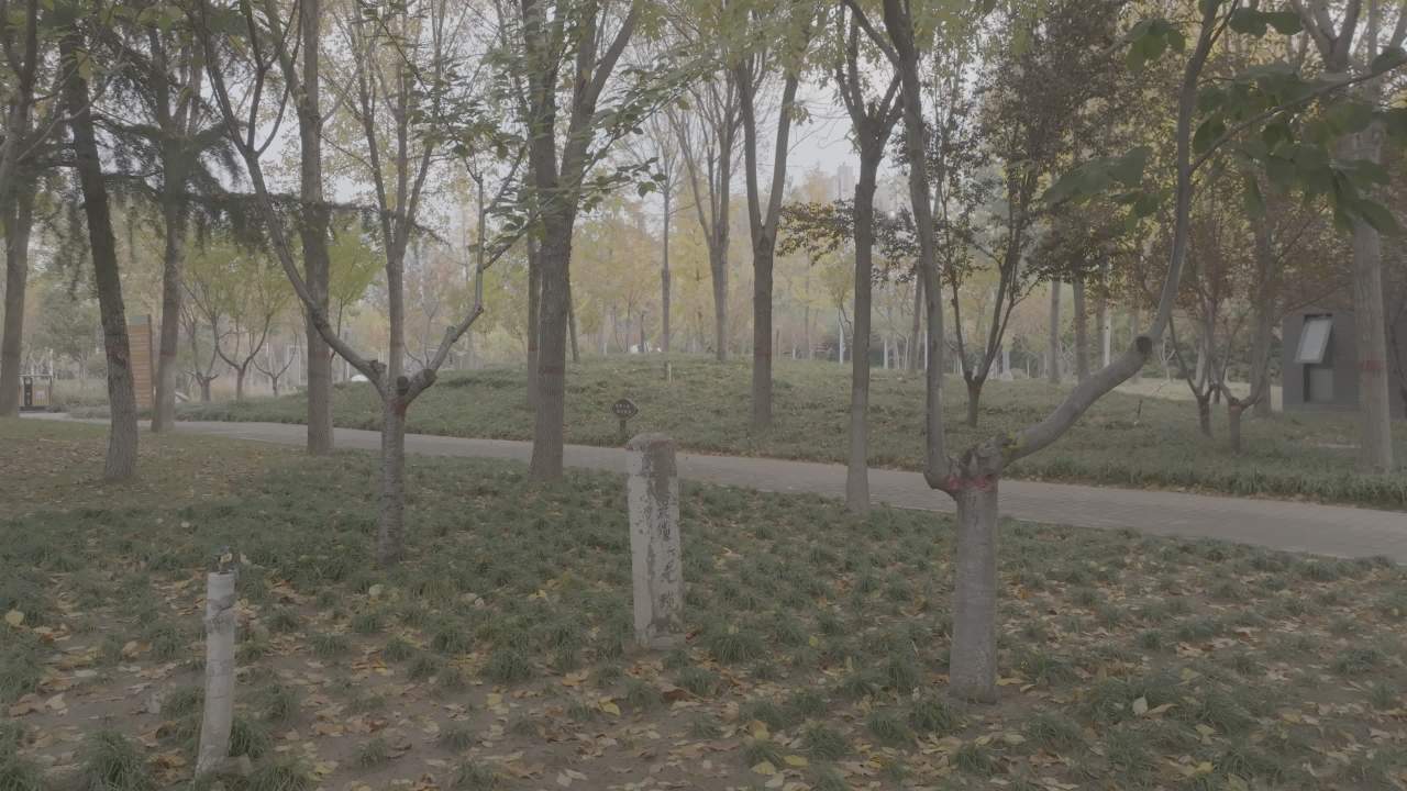 秋日公园漫步