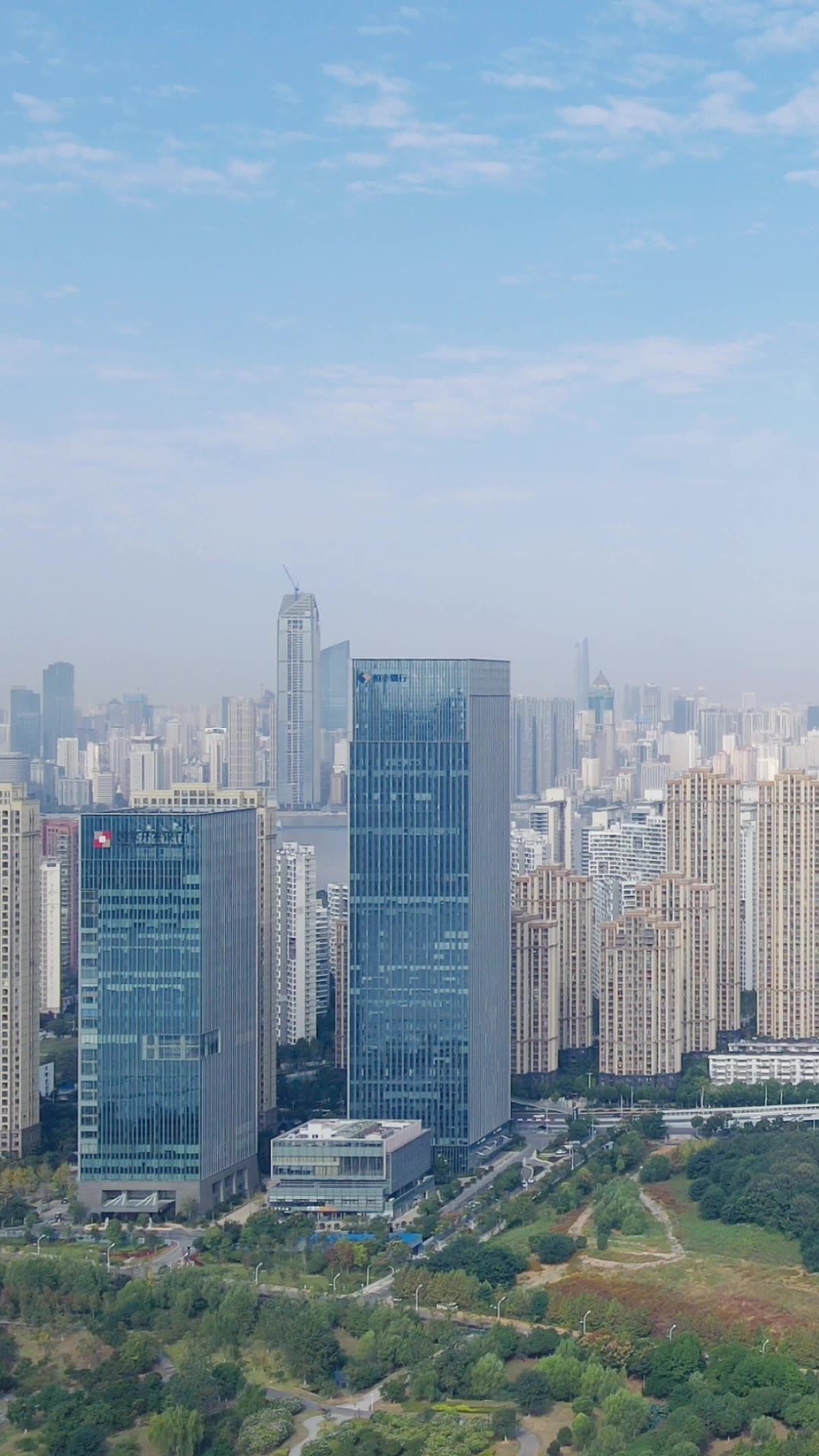  城市航拍武汉沙湖片区高楼建设