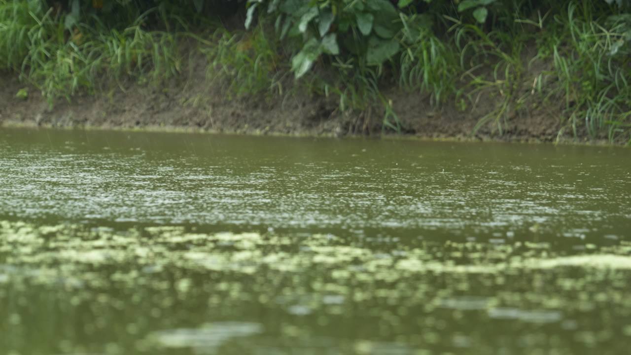 阴天下雨水滴雨滴天气 37