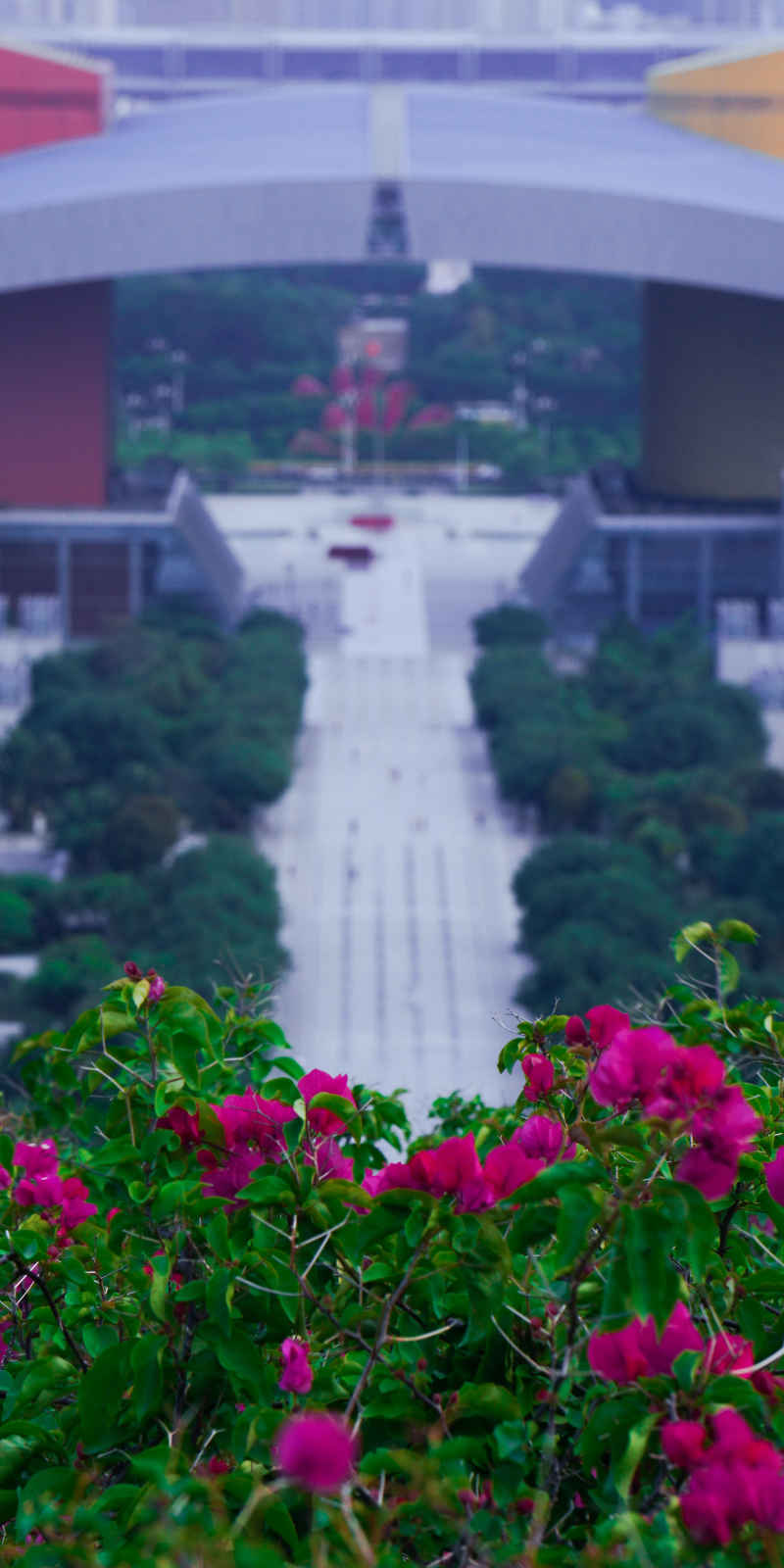 花花世界