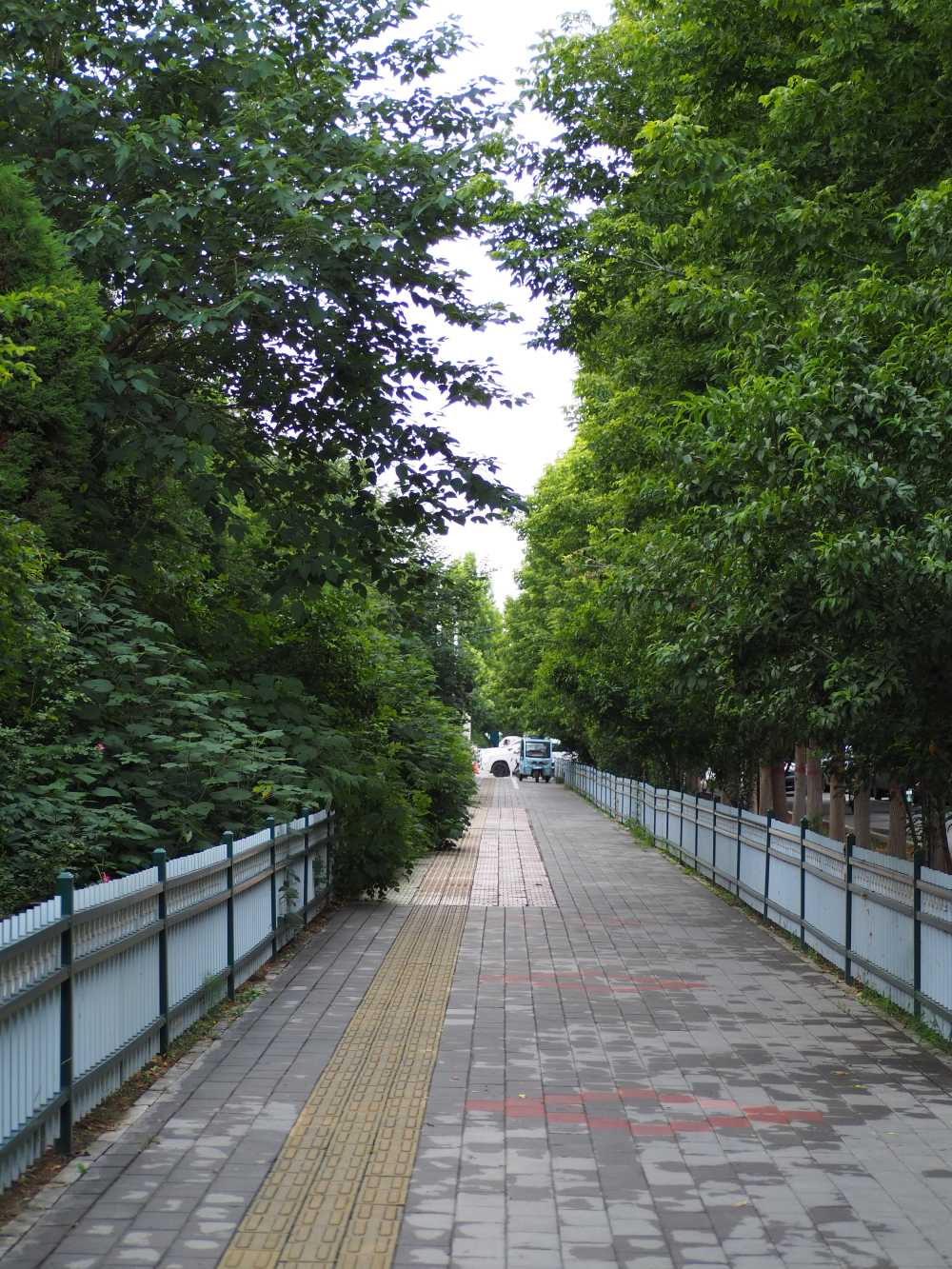 植物园采风